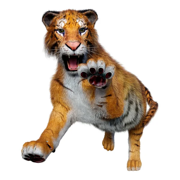 Rendering Big Cat Tiger Isolated White Background — Stock Photo, Image