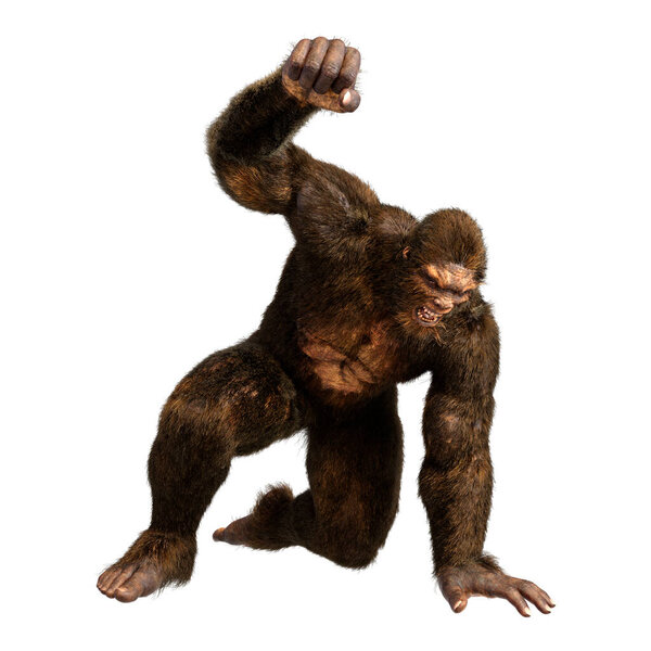 3D rendering of a Sasquatch or Bigfoot isolated on white background