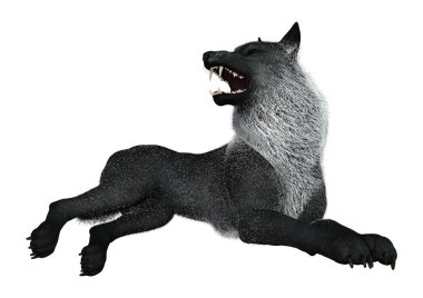 Beyaz arkaplanda izole edilmiş bir siyah kurdun 3D görüntüsü