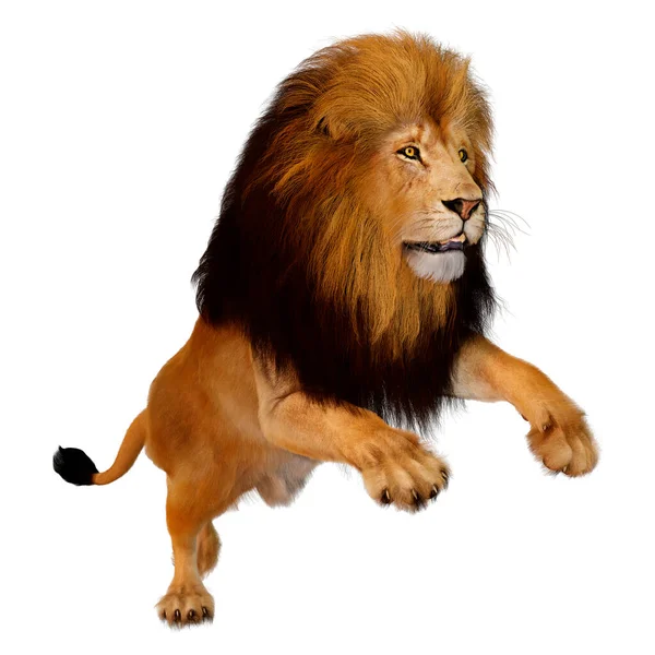 Rendering Male Lion Isolated White Background — Stock Photo, Image