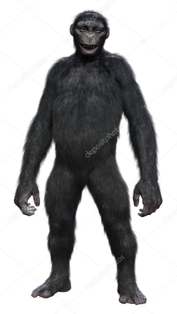 3D rendering of a big chimpanzee ape isolated on white background