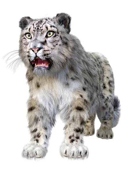 Rendering Grande Gatto Leopardo Delle Nevi Isolato Sfondo Bianco — Foto Stock