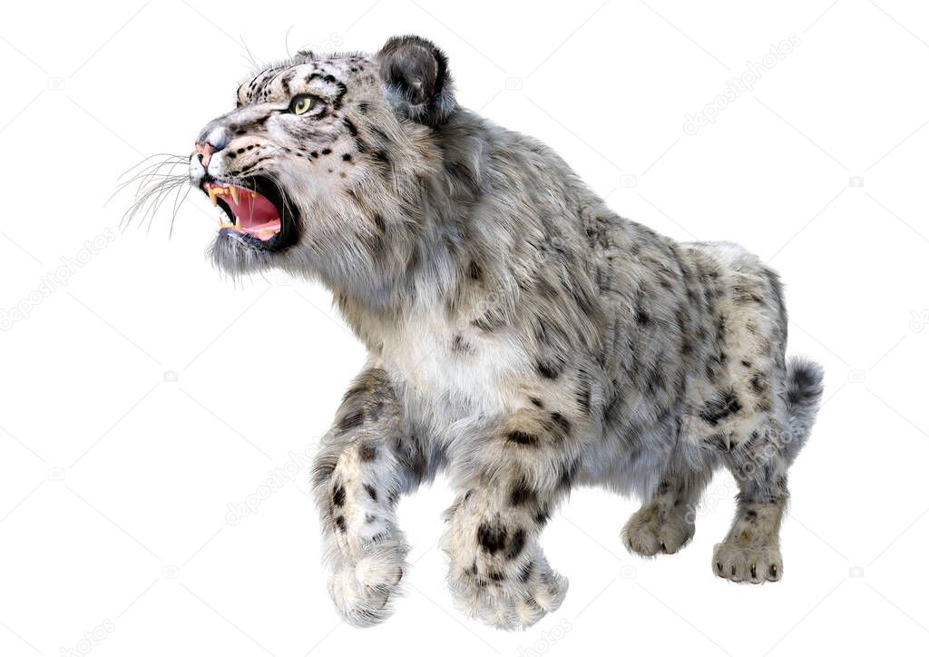 3D rendering of a big cat snow leopard isolated on white background