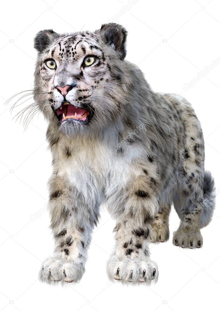 3D rendering of a big cat snow leopard isolated on white background