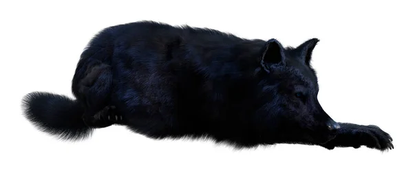 Representación Lobo Negro Aislado Sobre Fondo Blanco — Foto de Stock