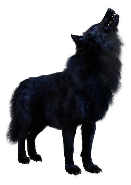 Rendering Black Wolf Isolated White Background — Stock Photo, Image