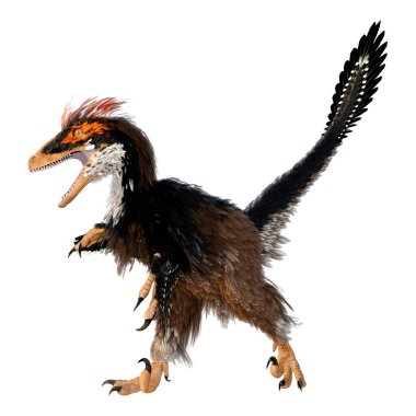 Beyaz arka planda izole edilmiş bir dinozor Deinonychus Antirrhopus 'un 3 boyutlu canlandırması