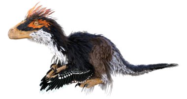 Beyaz arka planda izole edilmiş bir dinozor Deinonychus Antirrhopus 'un 3 boyutlu canlandırması