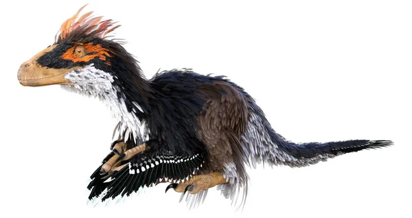 Weergave Van Een Dinosaurus Deinonychus Antirrhopus Geïsoleerd Witte Achtergrond — Stockfoto