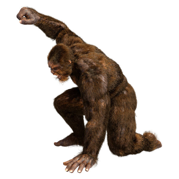 3D rendering of a Sasquatch or Bigfoot isolated on white background