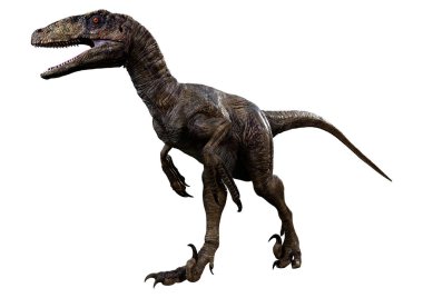 Beyaz arka planda izole edilmiş bir dinozor Deinonychus Antirrhopus 'un 3 boyutlu canlandırması