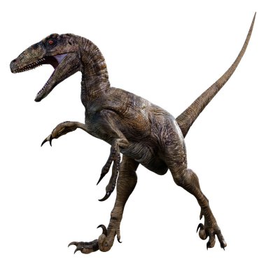 Beyaz arka planda izole edilmiş bir dinozor Deinonychus Antirrhopus 'un 3 boyutlu canlandırması