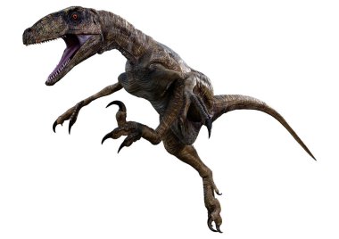 Beyaz arka planda izole edilmiş bir dinozor Deinonychus Antirrhopus 'un 3 boyutlu canlandırması