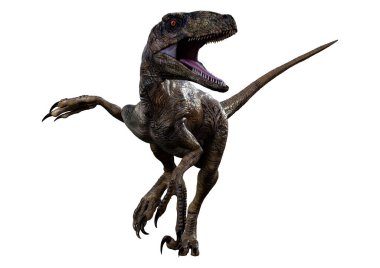 Beyaz arka planda izole edilmiş bir dinozor Deinonychus Antirrhopus 'un 3 boyutlu canlandırması