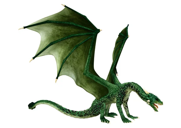 Darstellung Eines Fantasie Drachen Isoliert Auf Weißem Hintergrund — Stockfoto