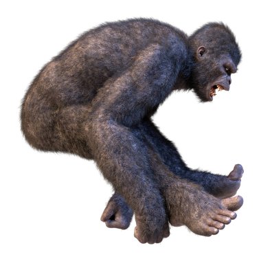 Beyaz arkaplanda izole edilmiş bir goril maymunu 3 boyutlu görüntüleme