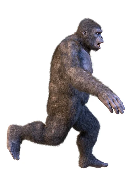 Vykreslení Opice Gorily Izolované Bílém Pozadí — Stock fotografie