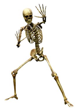 Beyaz arkaplanda izole edilmiş bir insan iskeletinin 3 boyutlu görüntülenmesi