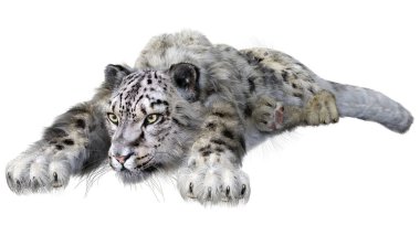 Beyaz zemin üzerinde izole edilmiş büyük bir kedi kar leoparının 3 boyutlu görüntüsü