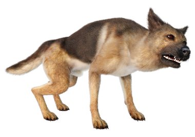 Beyaz arka planda izole edilmiş bir Alman çoban köpeğinin 3 boyutlu görüntüsü