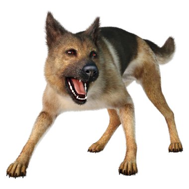 Beyaz arka planda izole edilmiş bir Alman çoban köpeğinin 3 boyutlu görüntüsü