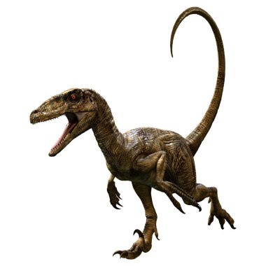 Beyaz arka planda izole edilmiş bir dinozor Deinonychus Antirrhopus 'un 3 boyutlu canlandırması