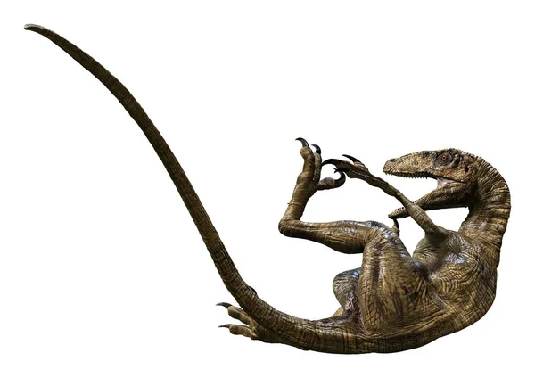 Vykreslení Dinosaura Deinonychus Antirrhopus Izolované Bílém Pozadí — Stock fotografie