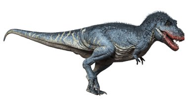 Beyaz zemin üzerinde izole edilmiş bir dinozor Tyrannosaurus Rex 'in 3D görüntüsü