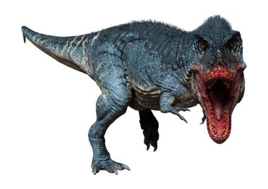 Beyaz zemin üzerinde izole edilmiş bir dinozor Tyrannosaurus Rex 'in 3D görüntüsü