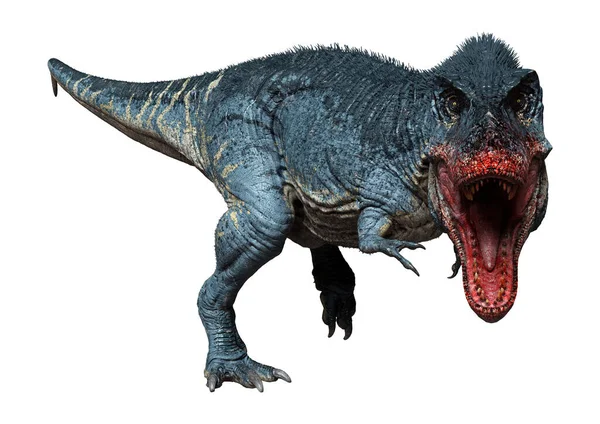 Dinossauro Estegossauro Em Fundo Isolado PNG , Antigo, Jurássico