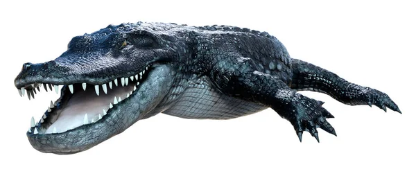 Återgivning Svart Alligator Isolerad Vit Bakgrund — Stockfoto