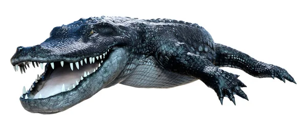 Rendering Eines Schwarzen Alligators Isoliert Auf Weißem Hintergrund — Stockfoto