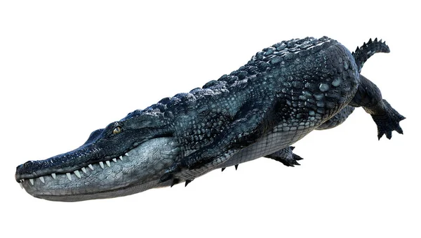Rendering Eines Schwarzen Alligators Isoliert Auf Weißem Hintergrund — Stockfoto