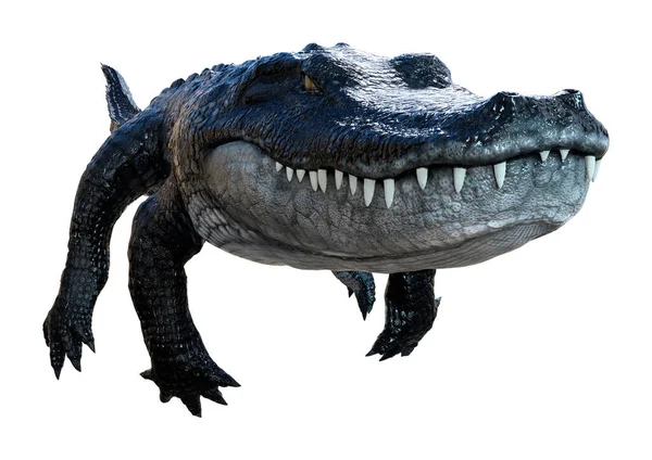 Rendering Eines Schwarzen Alligators Isoliert Auf Weißem Hintergrund — Stockfoto