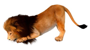 Beyaz arka planda izole edilmiş bir erkek aslanın 3 boyutlu görüntüsü