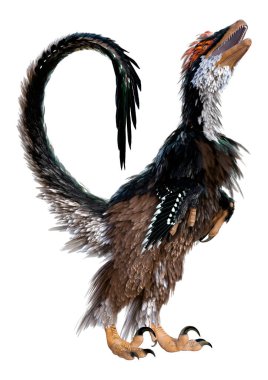 Beyaz arka planda izole edilmiş bir dinozor Deinonychus Antirrhopus 'un 3 boyutlu canlandırması