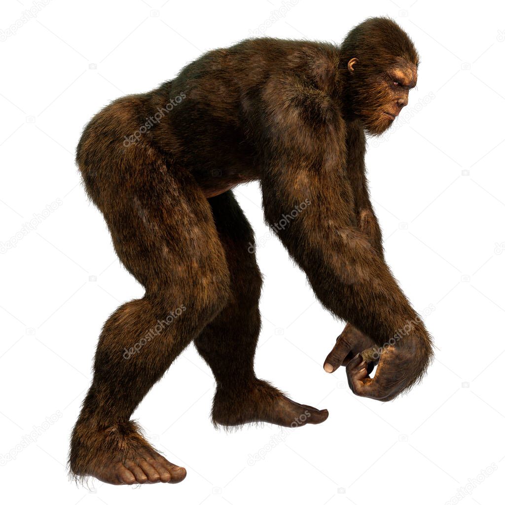 3D rendering of a Sasquatch or Bigfoot isolated on white background