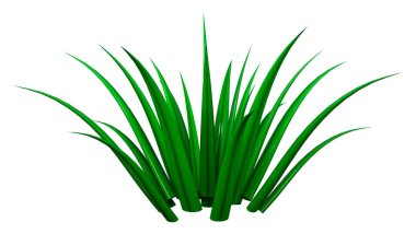 Beyaz arkaplanda izole edilmiş bir çimen parçasının 3B görüntülemesi