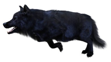 Beyaz arkaplanda izole edilmiş bir siyah kurdun 3D görüntüsü