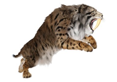 Kılıç dişli kaplanın 3 boyutlu görüntüsü beyaz arkaplanda izole edilmiş.