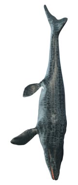 Soyu tükenmiş büyük bir deniz sürüngeni olan Mosasaur 'un üç boyutlu görüntüsü beyaz arka planda izole edildi.