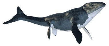 Soyu tükenmiş büyük bir deniz sürüngeni olan Mosasaur 'un üç boyutlu görüntüsü beyaz arka planda izole edildi.