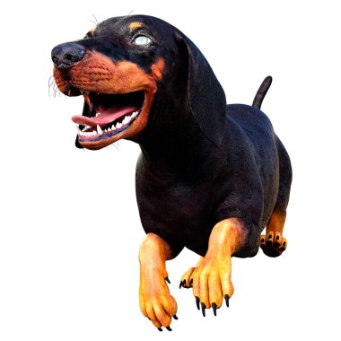 Dachshund, porsuk ya da sosisli sandviçin beyaz arka planda 3 boyutlu görüntülenmesi