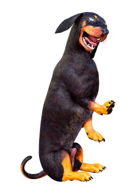 Dachshund, porsuk ya da sosisli sandviçin beyaz arka planda 3 boyutlu görüntülenmesi