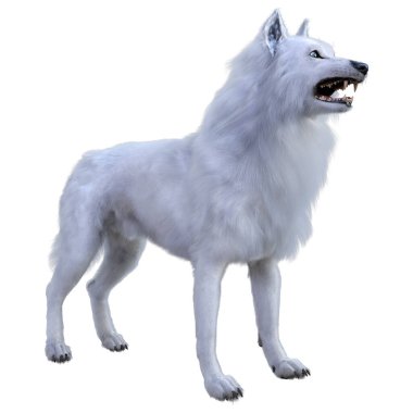 Beyaz arkaplanda izole edilmiş bir kutup kurdunun 3D görüntüsü