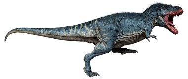 Beyaz zemin üzerinde izole edilmiş bir dinozor Tyrannosaurus Rex 'in 3D görüntüsü