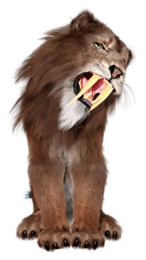 Kılıç dişli kaplanın 3 boyutlu görüntüsü beyaz arkaplanda izole edilmiş.