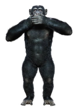 Beyaz arkaplanda izole edilmiş büyük bir şempanzenin 3B görüntülemesi