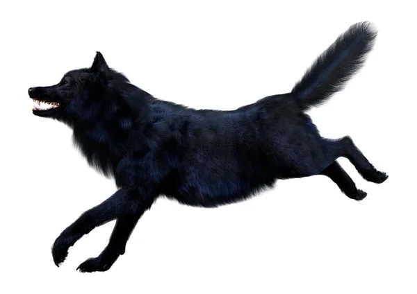 白い背景に隔離された黒いオオカミの3Dレンダリング — ストック写真