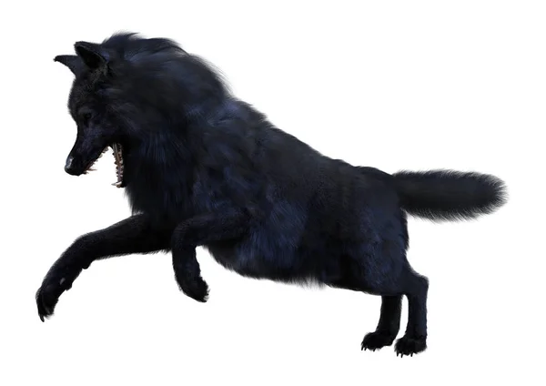 Darstellung Eines Schwarzen Wolfes Isoliert Auf Weißem Hintergrund — Stockfoto